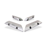 CNC Racing WP100 Winglets Abdeckkappen silber